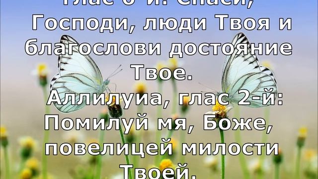 Понедельник Троицы, День Святого Духа. (Текст) 2019 смотреть онлайн