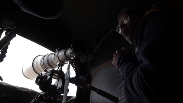 Canon 600mm f 4L II Hands-on + NAT GEO Wild! смотреть онлайн