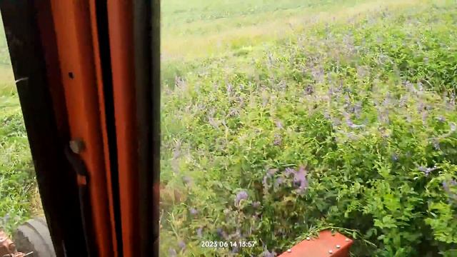 Сенокос 2023 смотреть онлайн