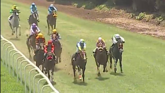 Olympicduel with C Umesh up wins The Sigur Plate 2019 смотреть онлайн