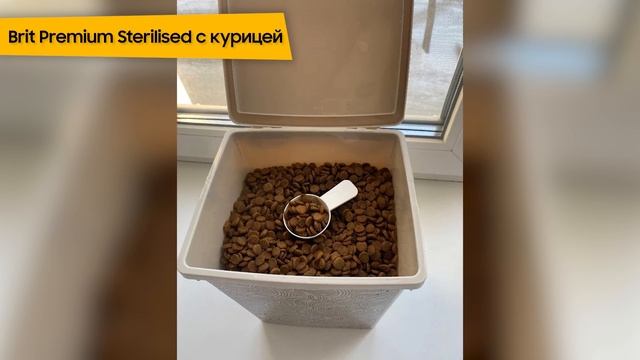 ТОП—5. Лучшие корма для кошек премиум класса. Рейтинг 2023 года! смотреть онлайн