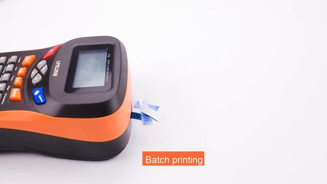 Supvan Label Printer LP5125M смотреть онлайн