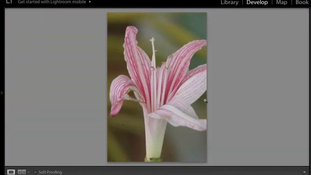สอน Lightroom 5.7 ตอนที่ 1 ลบจุดด่างดำบนภาพแบบง่าย ๆ смотреть онлайн