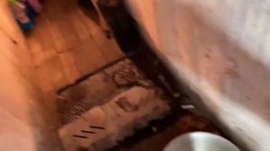 Как проверить уровень масла в  вариаторе (АКПП) Ниссан Ноут кузов Е12