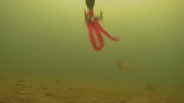 Ловля плотвы на мормышку в глухозимье смотреть онлайн