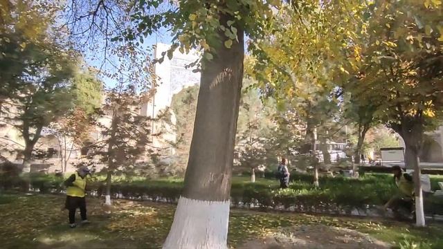 Burası Bir Başka! (DOKDO) ?? #ozbekistan #buhara #kale #carsi #pazar смотреть онлайн