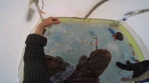 Рыбалка в Шарыпово день третий. Хороший улов! Озеро Большое