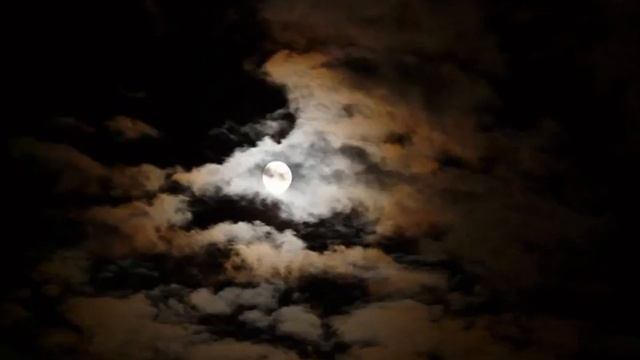 Count Flatula YouTube смотреть онлайн