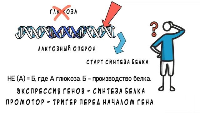 Клеточное программирование и биокомпьютер, видео для думающих смотреть онлайн