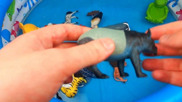 Узнайте имена морских животных и зоо животных Акула Видео Игрушки для детей смотреть онлайн