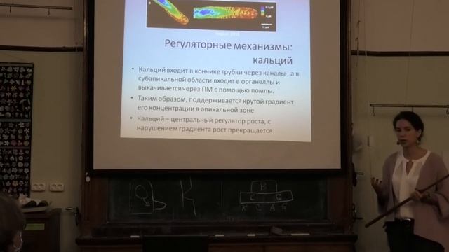 Брейгина М.А. Пыльцевые трубки смотреть онлайн