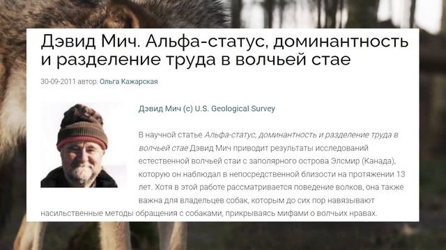 ЧТО ЗАСТАВЛЯЕТ ТЕБЯ РОМАНТИЗИРОВАТЬ БОЛЬНЫХ ПРИДУРКОВ / КОНЕЦ СИГМА МЕЙЛ смотреть онлайн