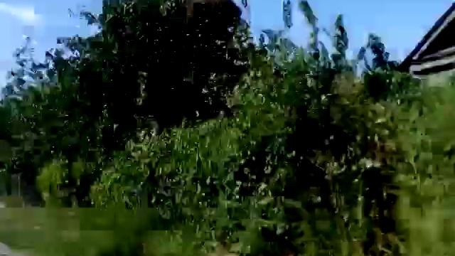 Иду по частному сектору Дар-гора Ворошиловского района города Волгограда начало сентября 2021 года смотреть онлайн