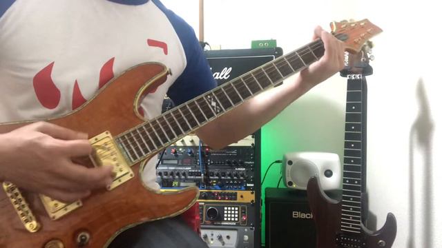 Shawn Lane's Guitar Solo - Angels Love Bad Men(Highwayman II) смотреть онлайн