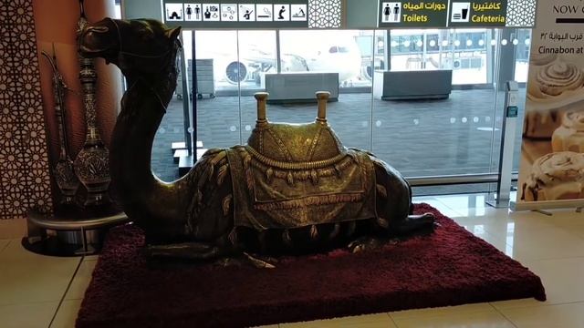 Abu Dhabi Airport-duty Free Shops, Shopping, Ethihad Airways Business Lounge And Food