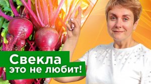 СВЕКЛА ЭТОГО НЕ ПРОСТИТ! Биолог рассказала из-за каких 5 ошибок в уходе свекла плохо растет