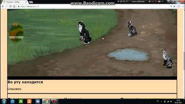 Как пользоватся кодами? CatWar