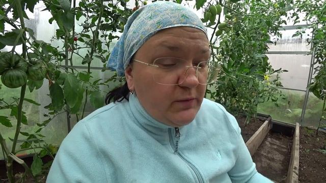 Перечень работ в теплице после уборки урожая смотреть онлайн