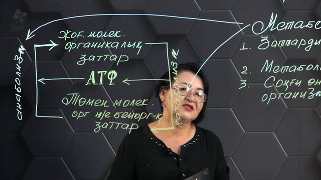 Метаболизм түрлері. 10 сынып. смотреть онлайн