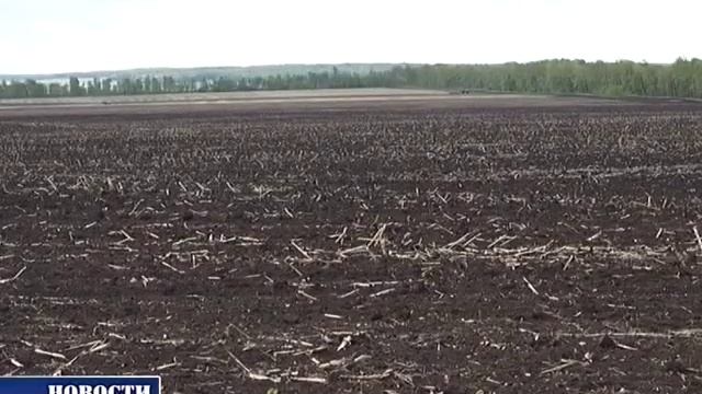 Аграрии близятся к завершению полевых работ смотреть онлайн