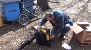 Обзор воздуходувки CHAMPION GBR357  Тест бензиновой воздуходувки