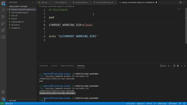 Shell Script tutorials - 14 - Assign a Command's Output to a Variable in Shell Script (In Hindi) смотреть онлайн