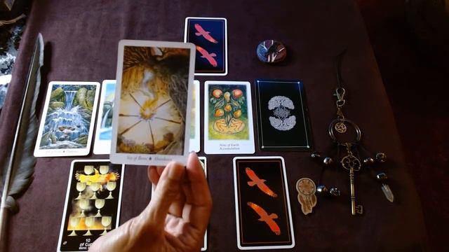 Deck Comparison: "Vision Quest Tarot" alongside a few companion decks. смотреть онлайн