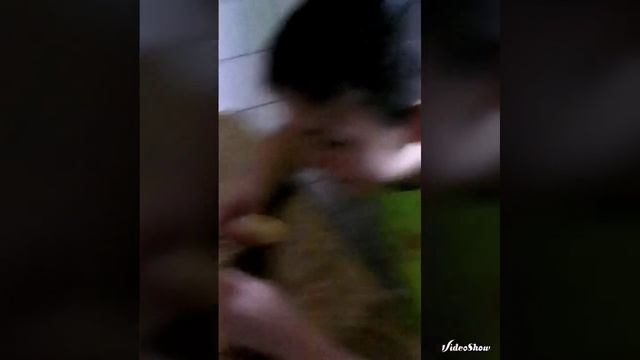 Жёсткая шкурка лимона смотреть онлайн