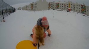 Шпиц играет с детьми на прогулке!