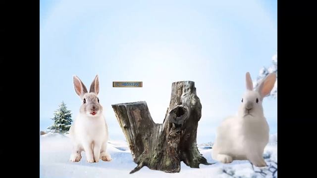 Состав числа 4