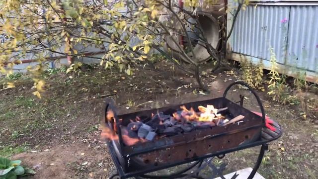 Моя любимая Дача в октябре. Сажаю клубнику и тюльпаны. Гуляем по посёлку. Делаю шашлык.❤️