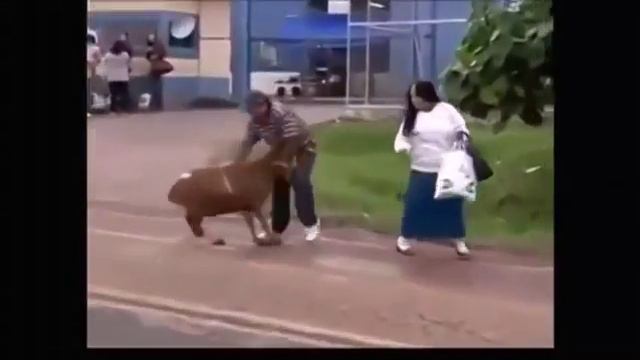 Чехия-Россия#Кубок мира. 3:0 смотреть онлайн