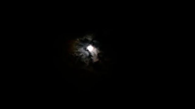 СТРАШИЛКИ НА НОЧЬ - ЗВОНОК В ДВЕРЬ ! смотреть онлайн