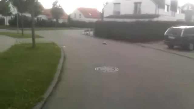 Tamiya Porsche 80 km/h schnell смотреть онлайн