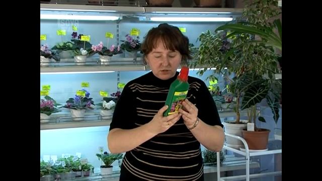 7_Удобрения и подкормки. Уход за комнатными растениями.Часть 6 смотреть онлайн
