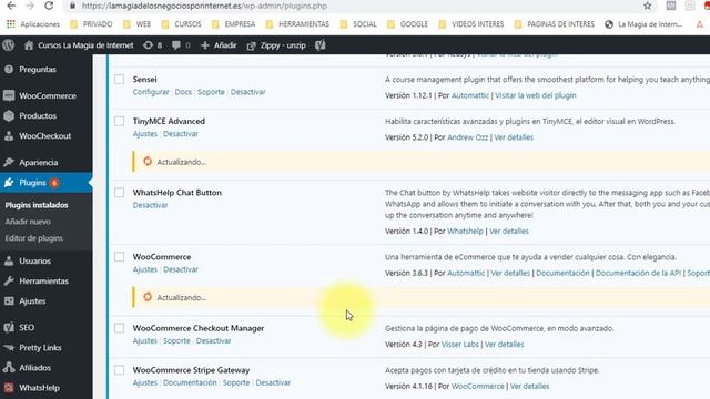 ¡¡¡ERROR!!! al actualizar Plugin en Wordpress смотреть онлайн