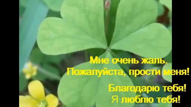 ХО-О-ПОНО-ПОНО смотреть онлайн