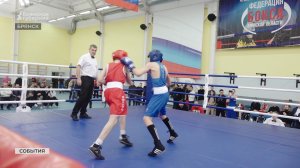 Открытый турнир по боксу стартовал в Брянске