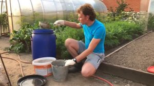 Лосиный навоз! Удобрение и подкормкам для всех растений.