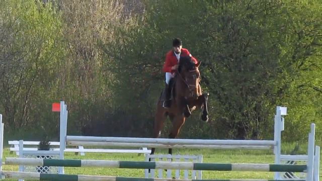 Numero de Semilly /Numero Uno/ first showjumping 1m смотреть онлайн