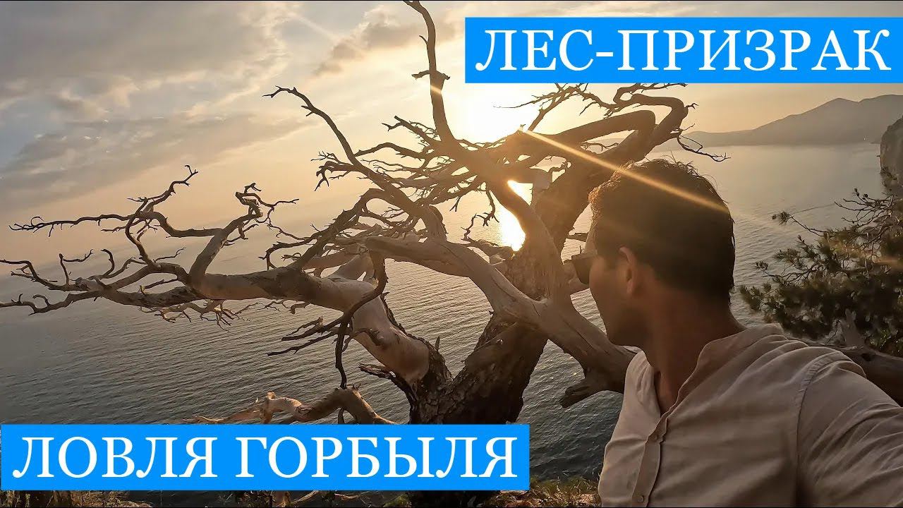 Ловля ГОРБЫЛЯ и Лес-призрак в Балаклаве! Затерянный мир, котловая ставрида, кукушки и Мыс Айя! смотреть онлайн