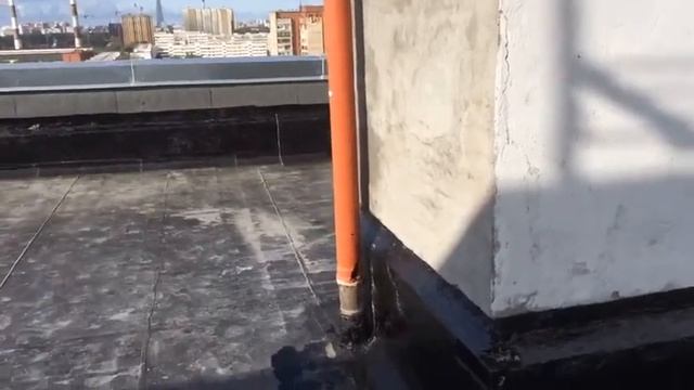 Альп клуб Санкт-Петербурга смотреть онлайн