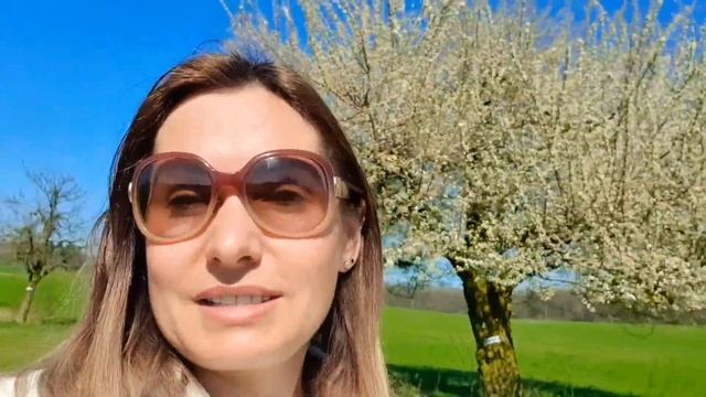 Лес Сад Огород Швейцарии | Малина- советы садового доктора смотреть онлайн