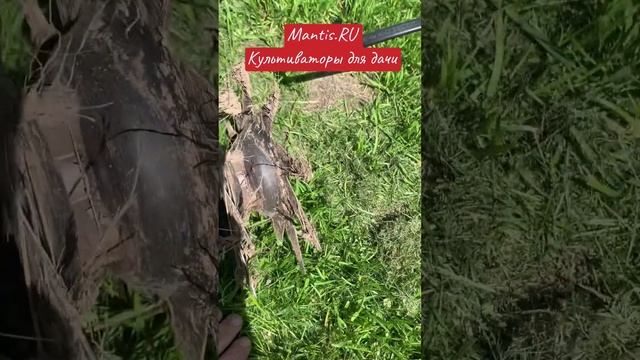 Насадки для культиватора, прокладка кабеля на участке #mantis #аэратор #культиватор #насадки #манти смотреть онлайн