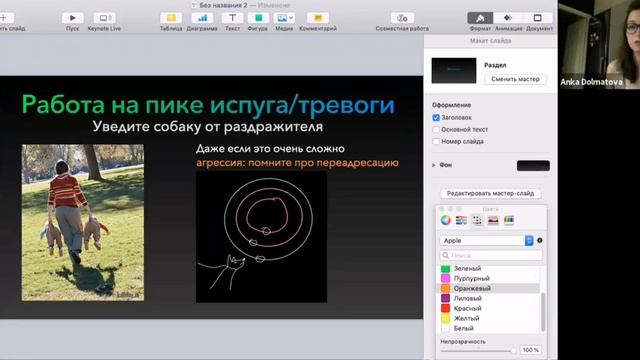 Что делать, если собака бросается на других собак. смотреть онлайн