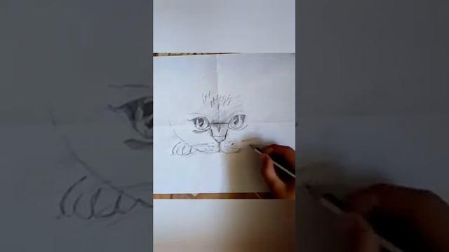 Рисую реалистичного котёнка смотреть онлайн