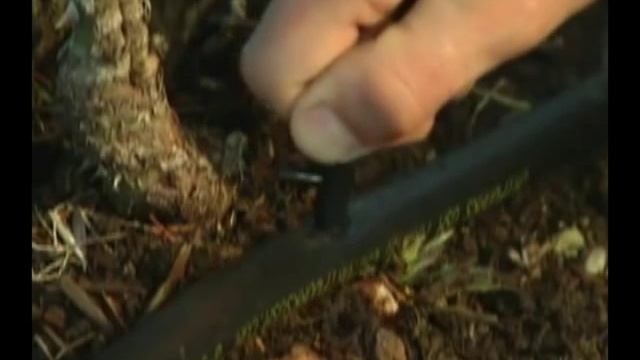 Капельный полив в саду - Монтаж системы капельного полива. смотреть онлайн