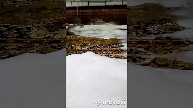 КОВРОВ BSK. Стирка ковров борисоглебск круглый год. 8-952-958-65-45 8 (47354) 57-555 смотреть онлайн