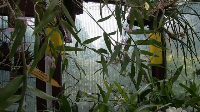 The Glorious 8th смотреть онлайн