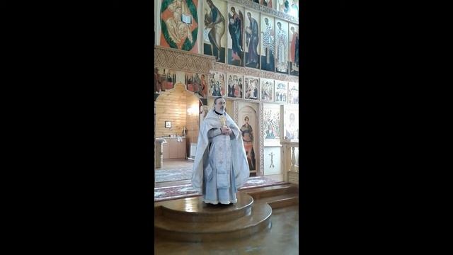 Проповедь по окончании Божественной литургии в праздник Сретения Господня смотреть онлайн